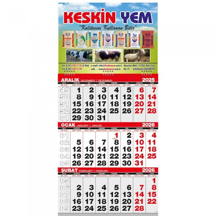 Ekonomik Küçük Boy Gemici Takvim ( 31 x 63 cm )