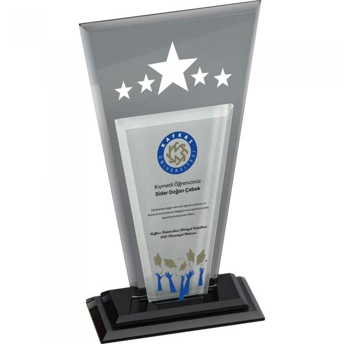 Kristal Plaket ( 13 x 25 cm )